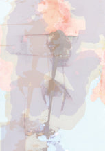 Load image into Gallery viewer, Evangelos Vangelatos - Greece